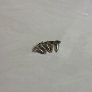 4分鋼牙螺絲：圖片 4